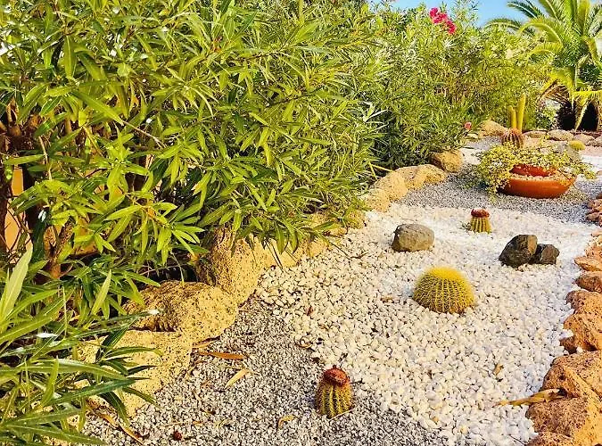 Terraza Del Mar أذيخي